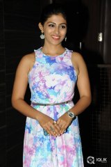 Kruthika Jayakumar at Bhale Bhale Magadivoy Audio Launch